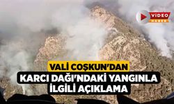 Vali Coşkun'dan Karcı Dağı'ndaki Yangınla İlgili Açıklama