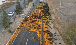 Afyon'da Karayoluna 10 Ton Mandalina Döküldü Yol Ulaşıma Kapandı