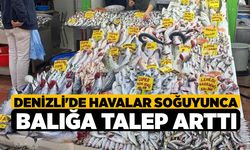 Denizli'de Havalar Soğuyunca Balığa Talep Arttı