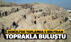 Denizli'de Toplamda 5 bin 916 fidanı toprakla buluştu