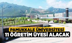 Pamukkale Üniversitesi, 11 Öğretim Üyesi Alacak