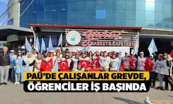 PAÜ’de Çalışanlar Grevde, Öğrenciler İş Başında