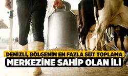 Denizli, bölgenin en fazla süt toplama merkezine sahip olan ili