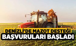 Denizli'de Mazot Desteği Başvuruları Başladı