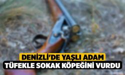 Denizli'de Yaşlı Adam Tüfekle Sokak Köpeğini Vurdu