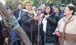 Gönüllü çevreciler budama ve aşılama eğitimi aldı