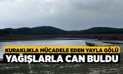 Kuraklıkla mücadele eden Yayla Gölü yağışlarla can buldu