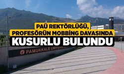 PAÜ Rektörlüğü, profesörün mobbing davasında kusurlu bulundu