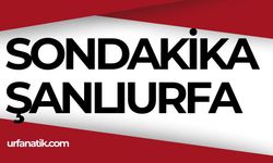 Son Dakika Şanlıurfa - Urfanatik