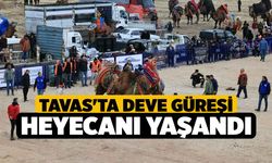 Tavas'ta Deve Güreşi Heyecanı Yaşandı