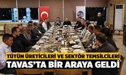 Tütün üreticileri ve sektör temsilcileri Tavas’ta bir Araya Geldi