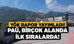 YÖK rapor yayımladı! PAÜ, birçok alanda ilk sıralarda!