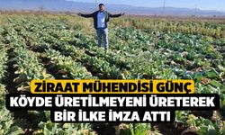 Ziraat Mühendisi Günç Köyde Üretilmeyeni Üreterek Bir İlke İmza Attı