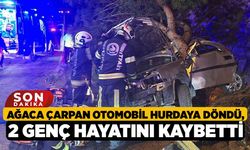 Ağaca çarpan otomobil hurdaya döndü, 2 genç hayatını kaybetti