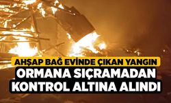 Ahşap bağ evinde çıkan yangın ormana sıçramadan kontrol altına alındı