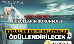 Buzulları en iyi anlatanlar ödüllendirilecek