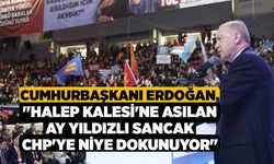 Cumhurbaşkanı Erdoğan, "Halep Kalesi'ne asılan ay yıldızlı sancak CHP'ye niye dokunuyor"