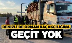 Denizli’de orman kaçakçılığına geçit yok