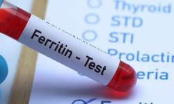 Ferritin Nedir?