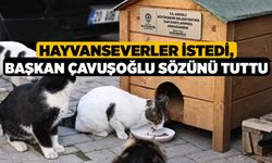 Hayvanseverler istedi, Başkan Çavuşoğlu sözünü tuttu