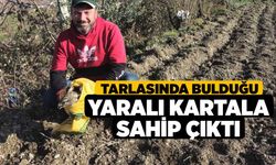 Tarlasında bulduğu yaralı kartala sahip çıktı