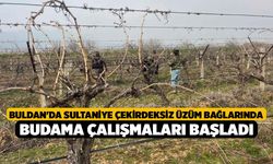 Buldan'da Sultaniye çekirdeksiz üzüm bağlarında budama çalışmaları başladı