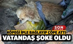 Çivril'de Köpeği İple Ayaklarını Bağladığı Köpeği Çöpe Atan Kadın Kameraya Yakalandı