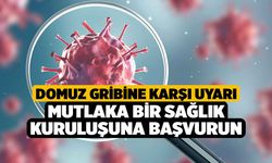 Domuz Gribine Karşı Uyarı, Mutlaka Bir Sağlık Kuruluşuna Başvurun