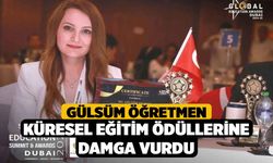 Gülsüm Öğretmen Küresel Eğitim Ödüllerine damga vurdu