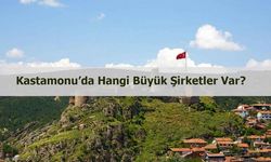 Kastamonu’da hangi büyük şirketler var?