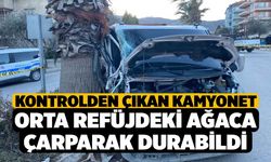 Kontrolden çıkan kamyonet orta refüjdeki ağaca çarparak durabildi