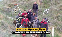 Kuyuya Düşen Keçi İçin İtfaiyeciler Seferber Oldu