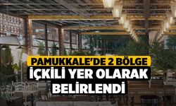 Pamukkale'de 2 bölge içkili yer olarak belirlendi