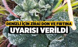 Denizli için zirai don ve fırtına uyarısı verildi