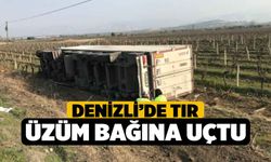 Denizli'de Tır Üzüm Bağına Uçtu