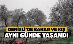 Denizli’de bahar ve kış aynı günde yaşandı