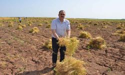 Denizli'de boş veya nadasa bırakılan araziler üretime kazandırılacak