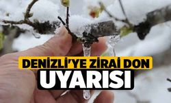 Denizli'ye Zirai Don Uyarısı!