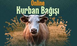 Online Kurban Bağışı Nasıl Yapılır?