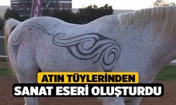 Atın tüylerinden sanat eseri oluşturdu