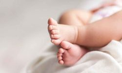 Denizli'de 2024 yılında 9 bin 809 bebek doğdu