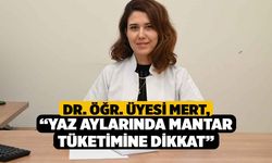 Dr. Öğr. Üyesi Mert, “Yaz Aylarında Mantar Tüketimine Dikkat”