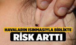 Havaların ısınmasıyla birlikte risk arttı