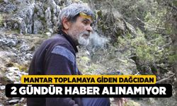 Mantar toplamaya giden dağcıdan 2 gündür haber alınamıyor