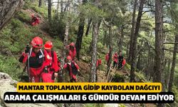 Mantar Toplamaya Gidip Kaybolan Dağcıyı Arama Çalışmaları 6 Gündür Devam Ediyor