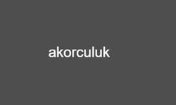 Müzikseverlerin Vazgeçilmez Adresi: Akorculuk