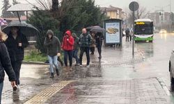 Zirai donla üzen nisan yağışlarla sevindirdi