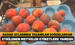 Bahar aylarında yaşanılan soğuklardan etkilenen meyveler etiketlere yansıdı