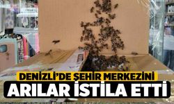 Arılar Denizli şehir merkezini istila etti