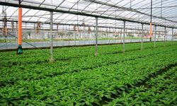 Denizli tarımına 87.4 milyonluk destek